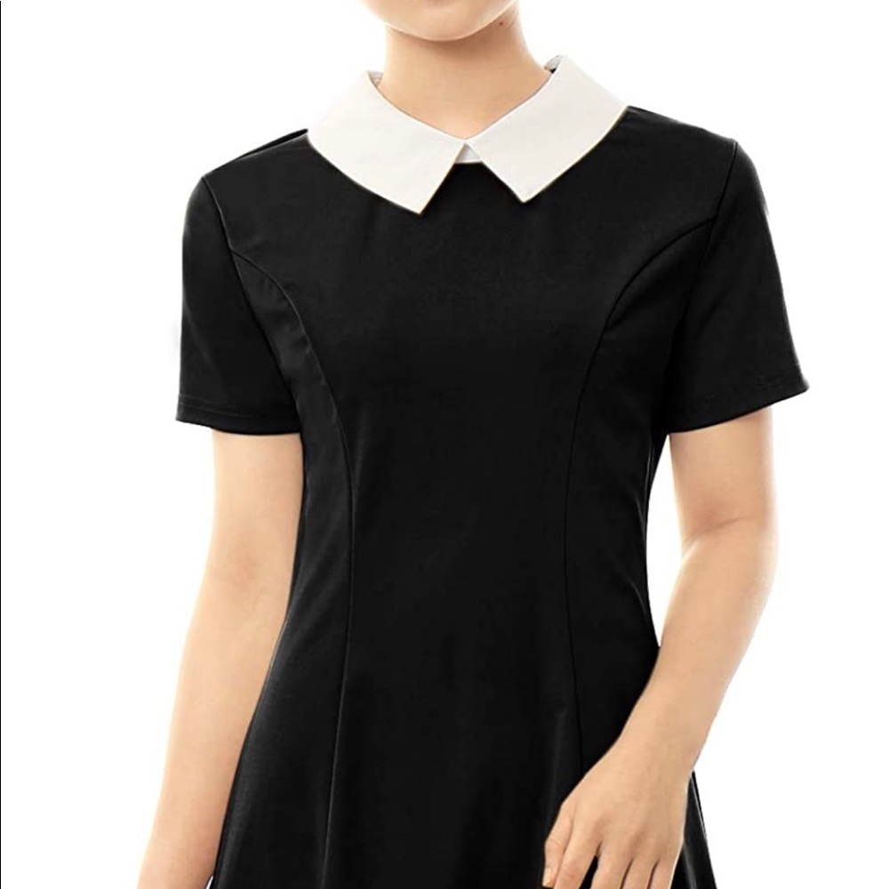 Doll Collar Fit and Flare Dress